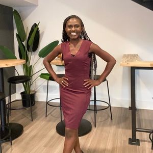 Burgundy Fitted V-Neck Dress